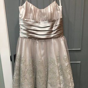Morgan & Co Silver dress
